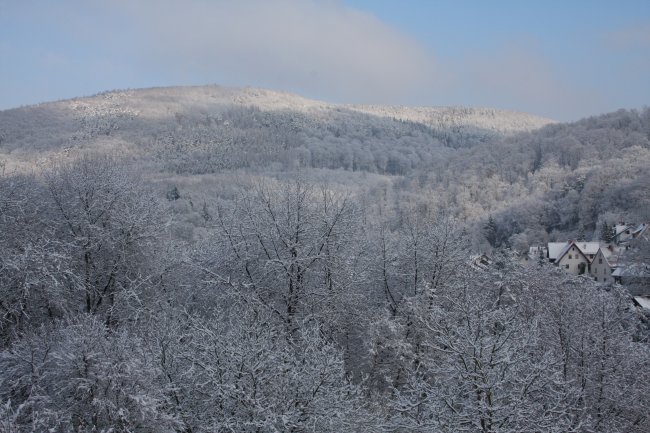 Winter 14.02.2009 003.jpg